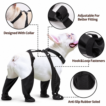 Botas impermeables para perro que no se caen