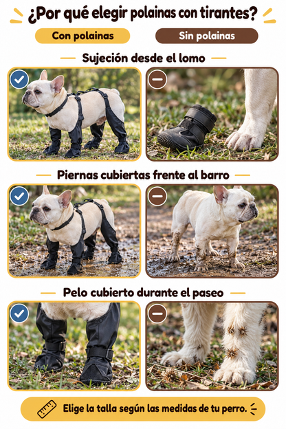 Botas impermeables para perro que no se caen
