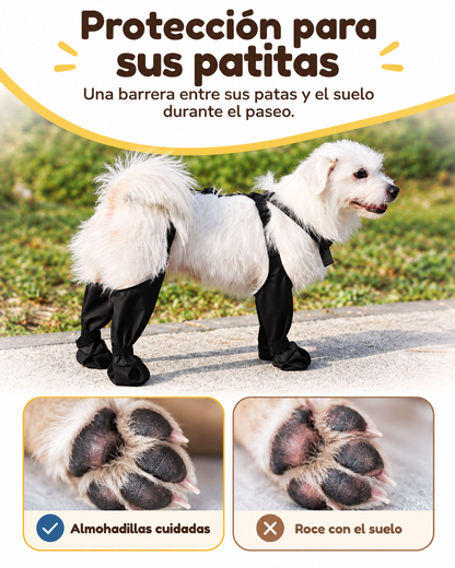 Botas impermeables para perro que no se caen